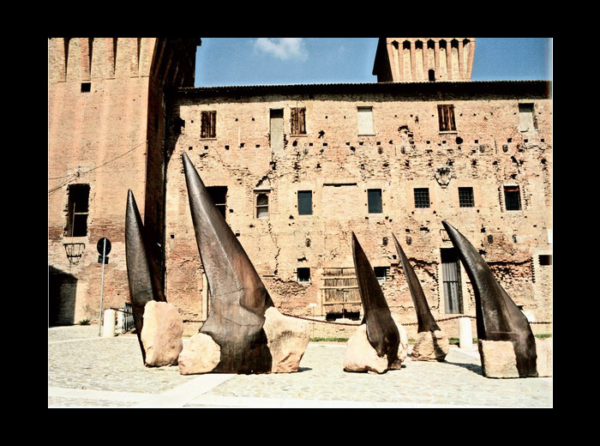 Affioranti - immagine 6