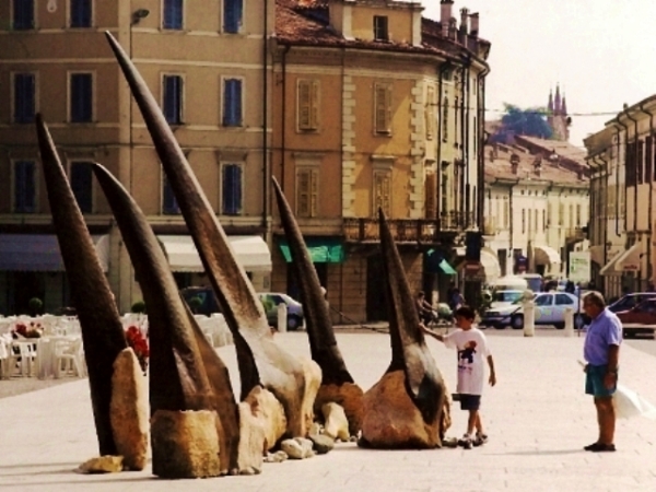 Affioranti - immagine 5